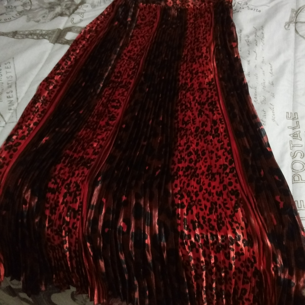 Long skirt